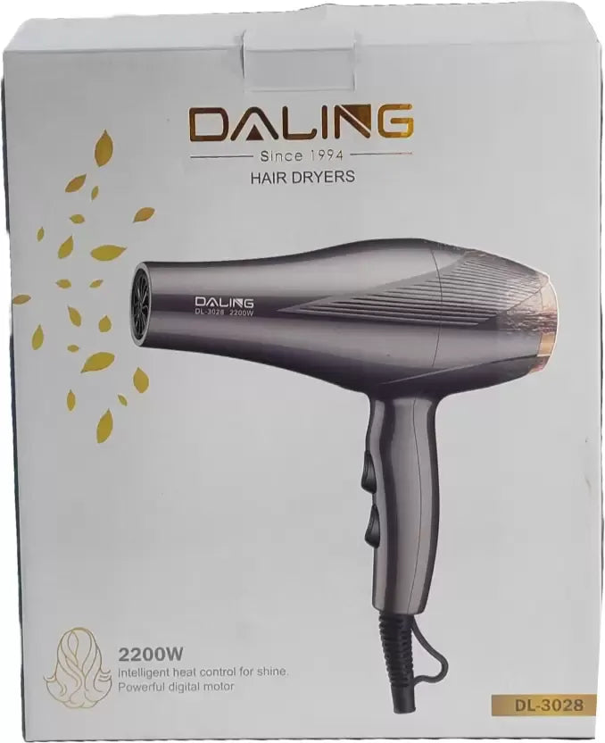 Daling DL-3028 Hair Dryer (2200 W, Silver)