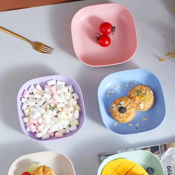 10 Pcs Plates Set With Holder