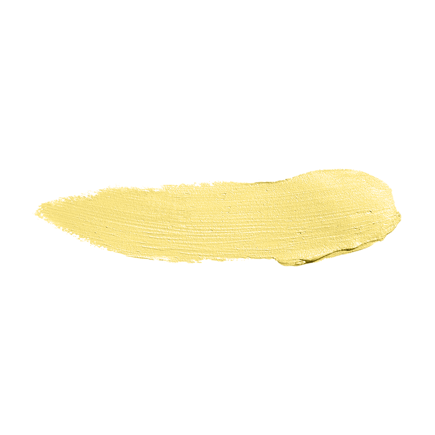 Color Institute Foundation Stick