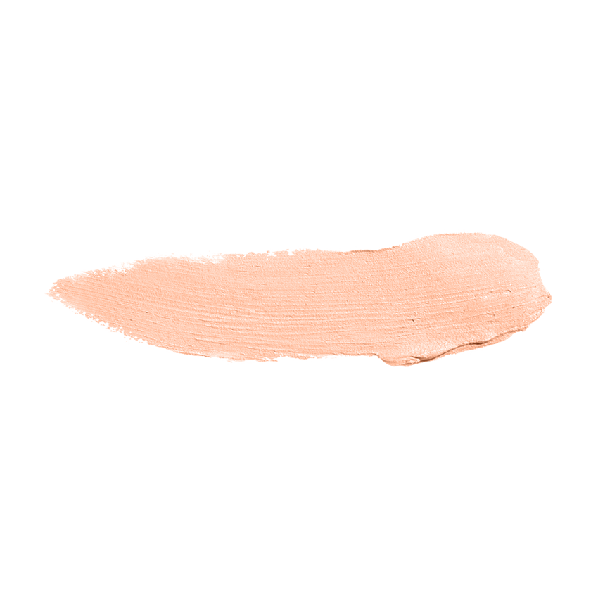 Color Institute Foundation Stick