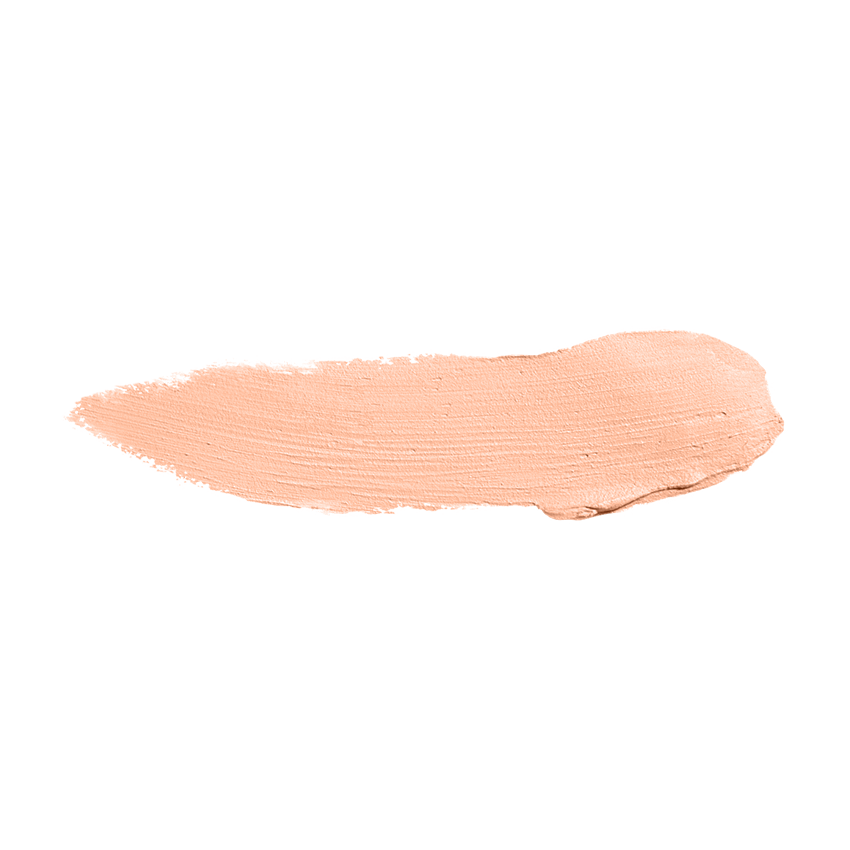 Color Institute Foundation Stick