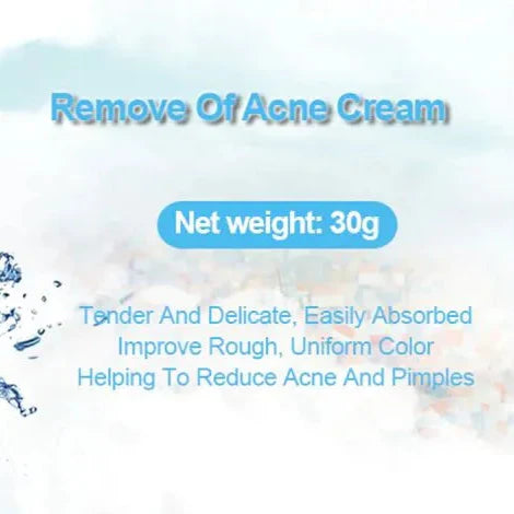 BIOAQUA- Acne Removal Pure Skin Cream - 30g | Premium Skincare & Beauty Products in Pakistan