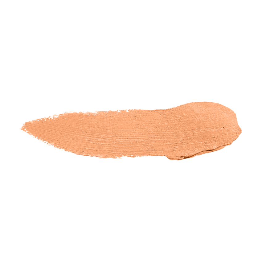 Color Institute Foundation Stick