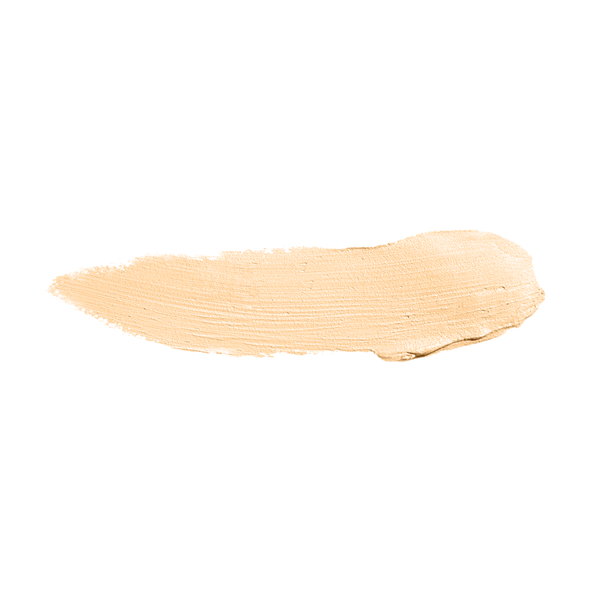 Color Institute Foundation Stick