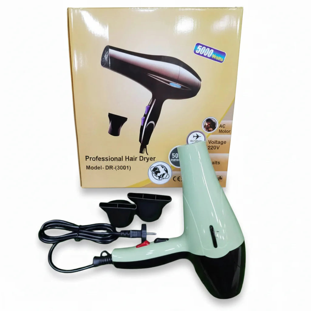 Remington Style Hair Dryer - DR-(3001)