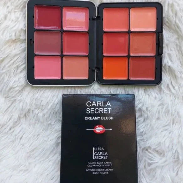 Carla Secret Concealer & Blush Palette